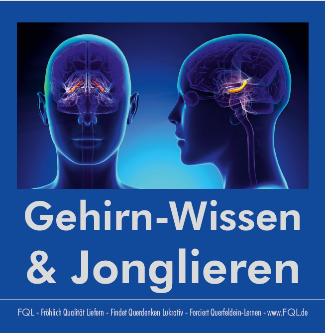 Titelseite-Flyer-Gehirn+Jonglieren